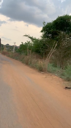 My beautiful friend made the most beautiful bride ever👏👏👏👏👏👏 Tonia Ibuzo happy married life | Ngozi Nwangwu