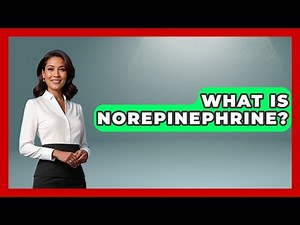 What Is Norepinephrine? - Pharmaceutical Insights