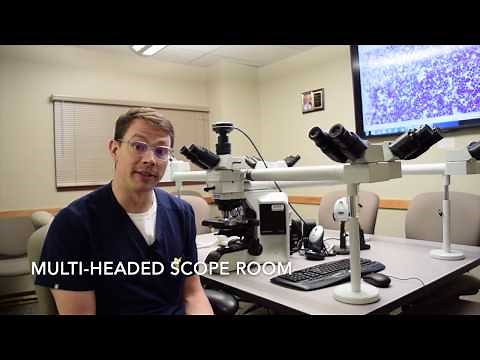 Residency Candidate Tour: Pathology & Lab Medicine at URMC