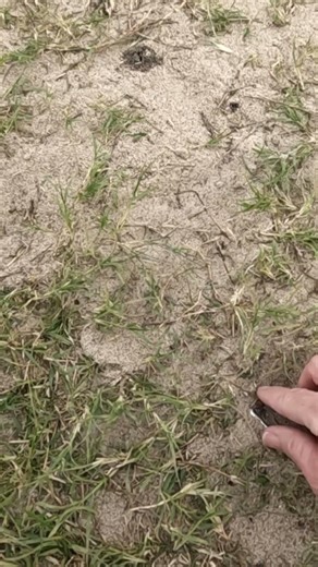 Back on the Jewelry!! #metaldetecting #treasuresearch #treasure