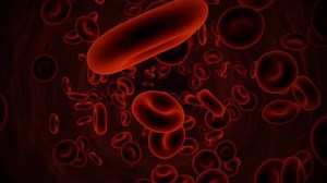 clip-2815141-3d-animation-red-blood-cells-flowing-vein