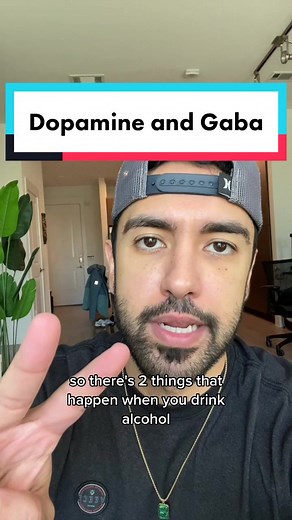 Understanding the Neurochemical Effects of Alcohol on Dopamine and GABA