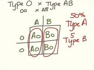 Freshman genetics. Blood type problems
