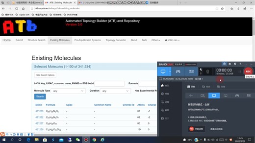 ATB网站获取全原子立场pdb文件