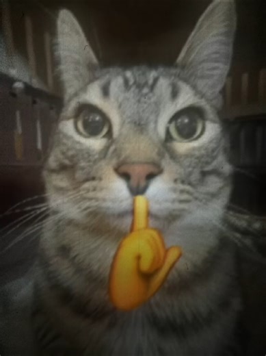 Cat Dancing Memes: ZAZU Edition