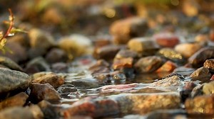 石の間に小さな春の流れ、スクリーンセーバー