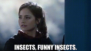 Insects, funny insects.