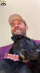 I was in the right place at the right time. As always thank you to Family Dogs New Life Shelter for being the best! Remember to never judge anyone, you never know their circumstances ❤️️ | The Asher House