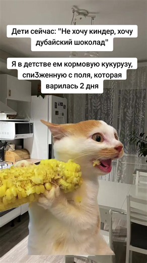 #capcut #юмор #жиза #прикол | capcut humor