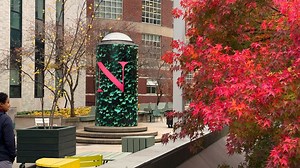 The Japanese maple trees 🍁 are picture-perfect this year. 📍 Richardson Plaza | Northeastern University