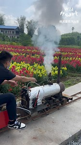 How Mini Steam Trains Work #steamtrain #transportation #outdoor #fblifestyle | Wild Heart