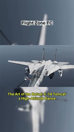 The Art of the Refuel: F-14 Tomcat's High-Altitude Dance! 💎✈️ #F14