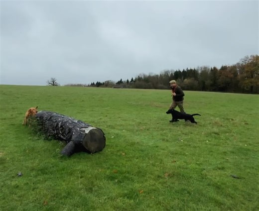 Rachel Peach on Reels | Facebook