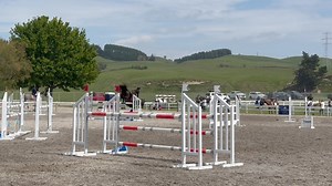 26K views · 680 reactions | Apollo VWNZ on his way to winning the horse 1.25m at Equifest. This is the first time this special boy has been ridden in a jump off. All the scope, jump and movement in the world for this very exciting young stallion. If you're looking to breed yourself the ultimate alrounder with a superb temperament then Apollo is your guy. | Vicki Wilson | Facebook