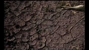 Isaac Chroner killing Malaki