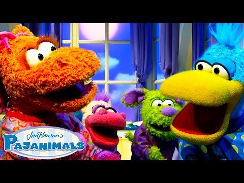 Pajama Freeze Dance! | SONG | Pajanimals
