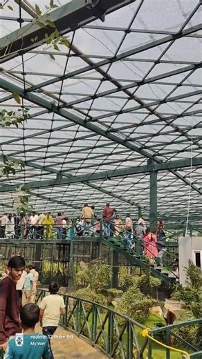 India's Largest Aviary! 🦜 Kothwalguda Eco Park