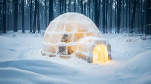 【 Forest Paths】独自建造冰屋并在里面过夜，我在庇护所里抓鱼做饭