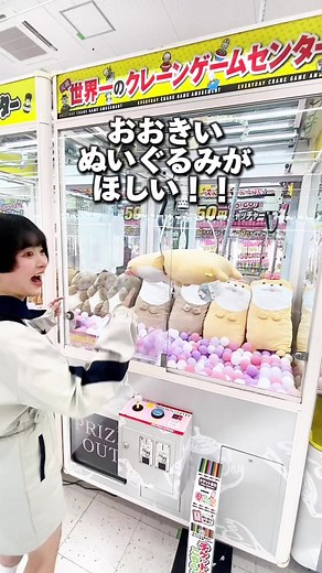 大きいぬいぐるみって憧れるよね！#カワウソ #動物のぬいぐるみ #クレーンゲーム #clawmachine