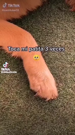 Cuentas recomendadas