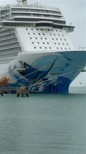 Trail running 2026-46 #viralvideo #running #amazing #citytour #life #sea #beautiful #cruise