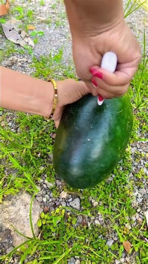 Watermelon sugar #viralvideo