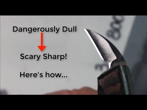 How to Sharpen Your Knife from Dangerously Dull to Scary Sharp!