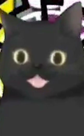 Randbot's Wisdom: Kevin