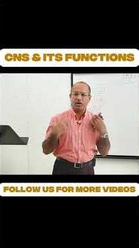 Central Nervous System (CNS) & Its Functions Explained
