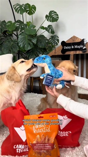 @Canadian Tire makes it easier for you to find deals on pet toys, food and accessories, and earn rewards at the same time! Shop on the Canadian Tire... | Daisy And Maple