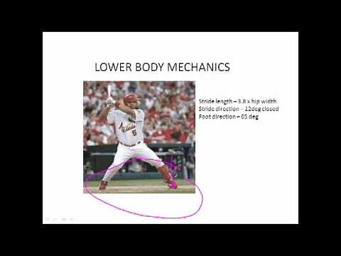 The Biomechanics of Hitting: Power and Efficiency