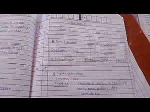 biology hsc board 2022 | best paper presentation of biology