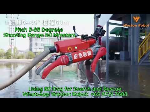 Meet the Future of Firefighting: The Firefighting Robot Dog B2!