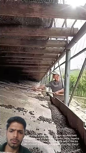 Drying Coffee Beans: A Detailed Look at the Process