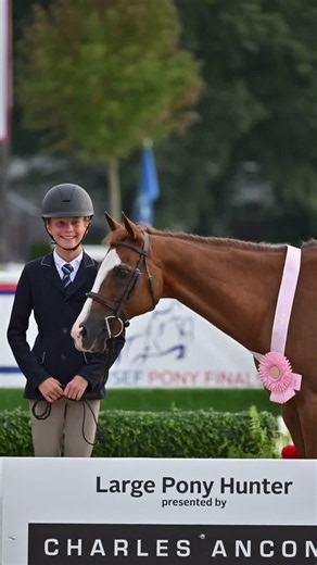 Pogo 5th best welsh at pony finals in the larges ♥️♥️ | Pony Horse