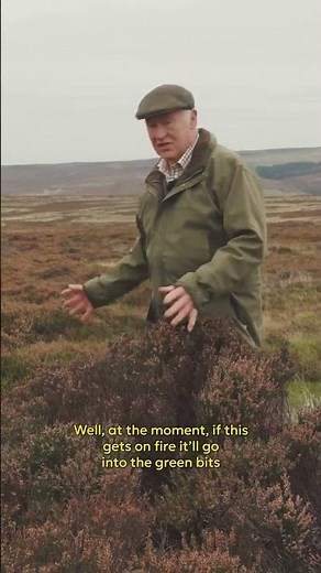 The Importance of Controlled ‘Cool’ Burning on Heather Moorland
