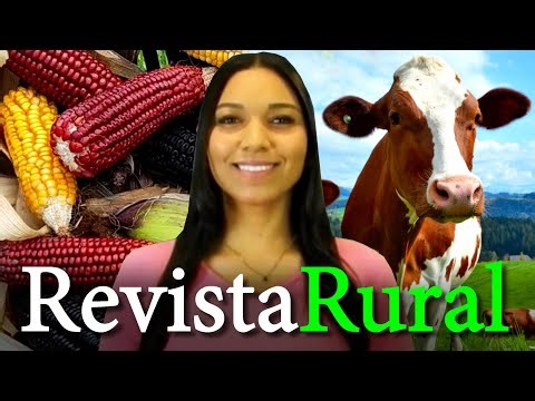 PROGRAMA REVISTA RURAL - 10/09/2023