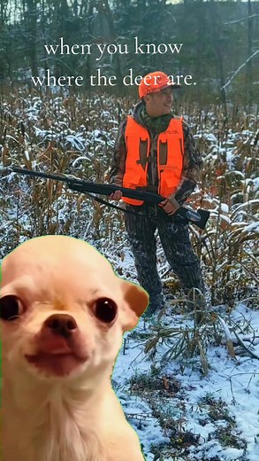 Why does tik tok say this is against community's guidelines line🤣🤣🤣🤣They made so many of these... | Ruben Huntsnj