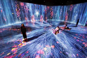 teamLab: LIFE