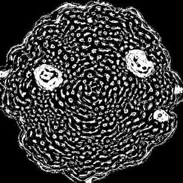 Multiple Neighborhood Cellular Automata #1 #cellularautomata #eurorack #proceduralgeneration