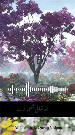 A Beautiful Bayan That Softens the Heart and Awakens the Soul