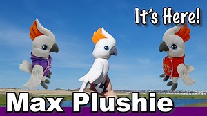 Exciting news - Max's plushie has landed. How cute is he? Order our Limited Edition soft plush toy of Max the Moluccan in an iconic hoodie! (Link in comments) Check out his adorable dark eyes, brilliant orange crest, soft wings, tail, reversible hoodie with pocket detail (brilliant orange/regal purple). Mini Max is ready to go on an adventure! Max approved! - Removable and reversible hoodie - Three styling options - Orange Hoodie, Purple Hoodie or No Hoodie - 9 inches tall (standing on his feet)