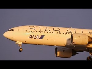 [羽田空港] ANA "Star Alliance" Boeing 777-281 [JA711A] landing at Tokyo Haneda Airport