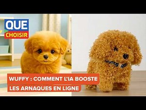 Wuffy: How Artificial Intelligence Boosts Online Scams | UFC Que Choisir