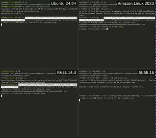 ‼️Copy Fail (CVE-2026-31431) is a Linux privilege escalation bug that lets any local user get root using a 732-byte Python script, and itworks on basically every major Linux distro shipped since 2017.Website: https://t.co/f5G6KnEv35Write-up: https://t.co/W86Pz2PC6CGitHub: https://t.co/zAMTC6nTRkIt's a logic flaw in the kernel's crypto code (authencesn via AF_ALG and splice()) that allows a small write into the page cache, which can be used to tamper with a setuid binary like /usr/bin/su.Think ho