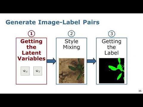 Talk by L. Chong: Unsupervised Generation of Labeled Training Images for Crop-Weed Segmentation...