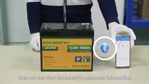 ECO-WORTHY 12V 100AH LiFePO4 Lithium Battery with Bluetooth, Max.1280Wh Energy, Low Temperature Protection, Group 24, Built-in 100A BMS, Perfect for Trolling Motor, RV, Boat, Solar Off-Grid