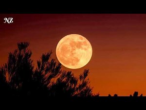 ულამაზესი სიმღერა გალაქტიონი Bacho Maisuradze • ბაჩო მაისურაძე - Galaktioni