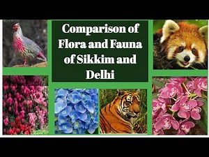 Comparison of Flora and Fauna of Sikkim and Delhi