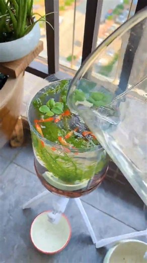 A clever way to raise goldfish | GIGadgets